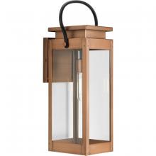 Progress P560006-169 - Union Square One-Light Large Antique Copper Urban Industrial Outdoor Wall Lantern