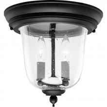 Progress P5562-31 - Ashmore Collection Two-Light 10-1/2" Close-to-Ceiling