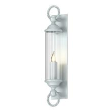 Hubbardton Forge 303080-SKT-78-ZM0034 - Cavo Large Outdoor Wall Sconce